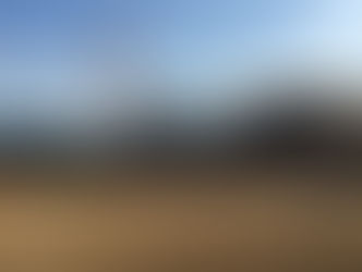 トレーナー活動