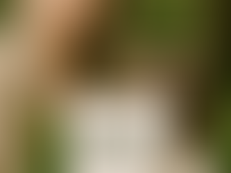 2026年の注目ワード:ロンジエビティとは?