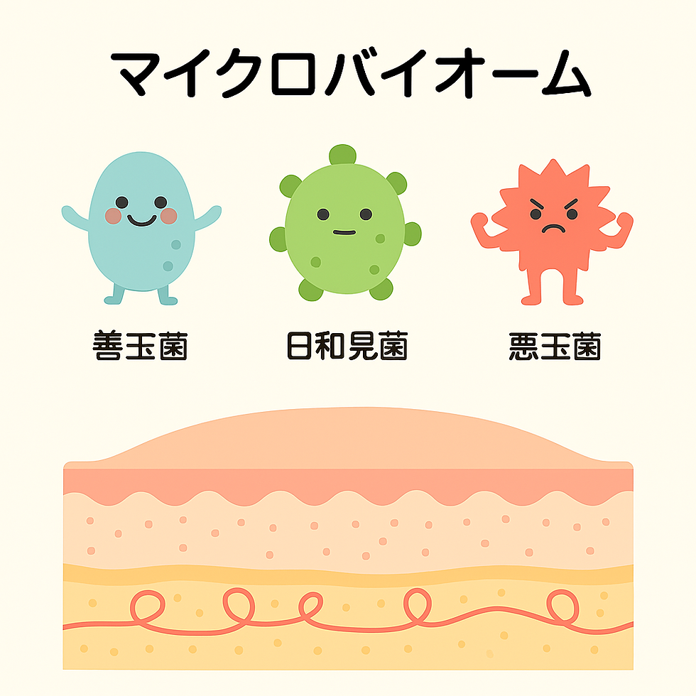 マイクロバイオーム化粧品