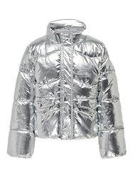 Silber1_edited_edited.png