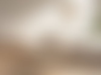 Quick Home Reset: Clear Your Space, Calm Your Mind