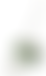 🧹 Top 5 Cleaning Tools I Can’t Live Without (And Why They Work)