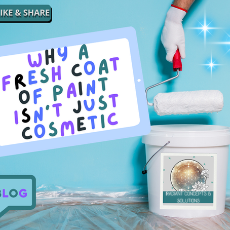 🎨 Small Paint Jobs, Big Energy Shifts: What Accent Walls Can Do