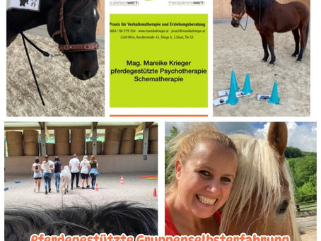 Pferdegestützte Gruppen- Selbsterfahrung
