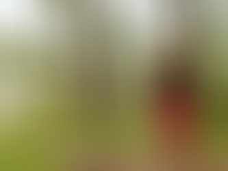 My Journey from a Wedding and Event Planner to VA