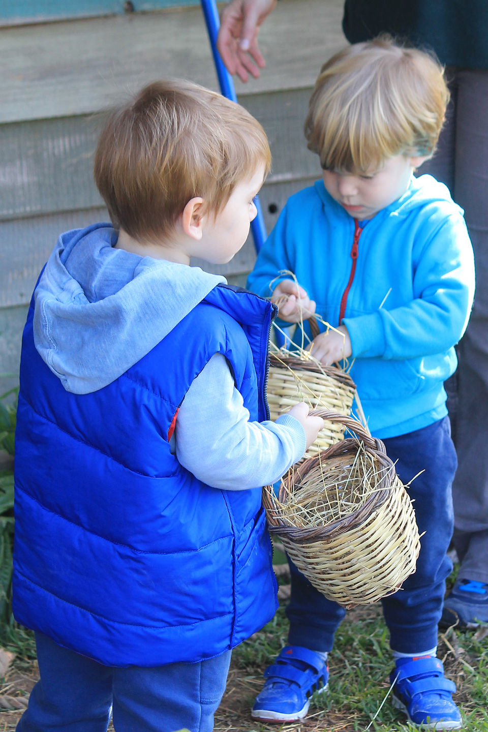 Counting the Eggs