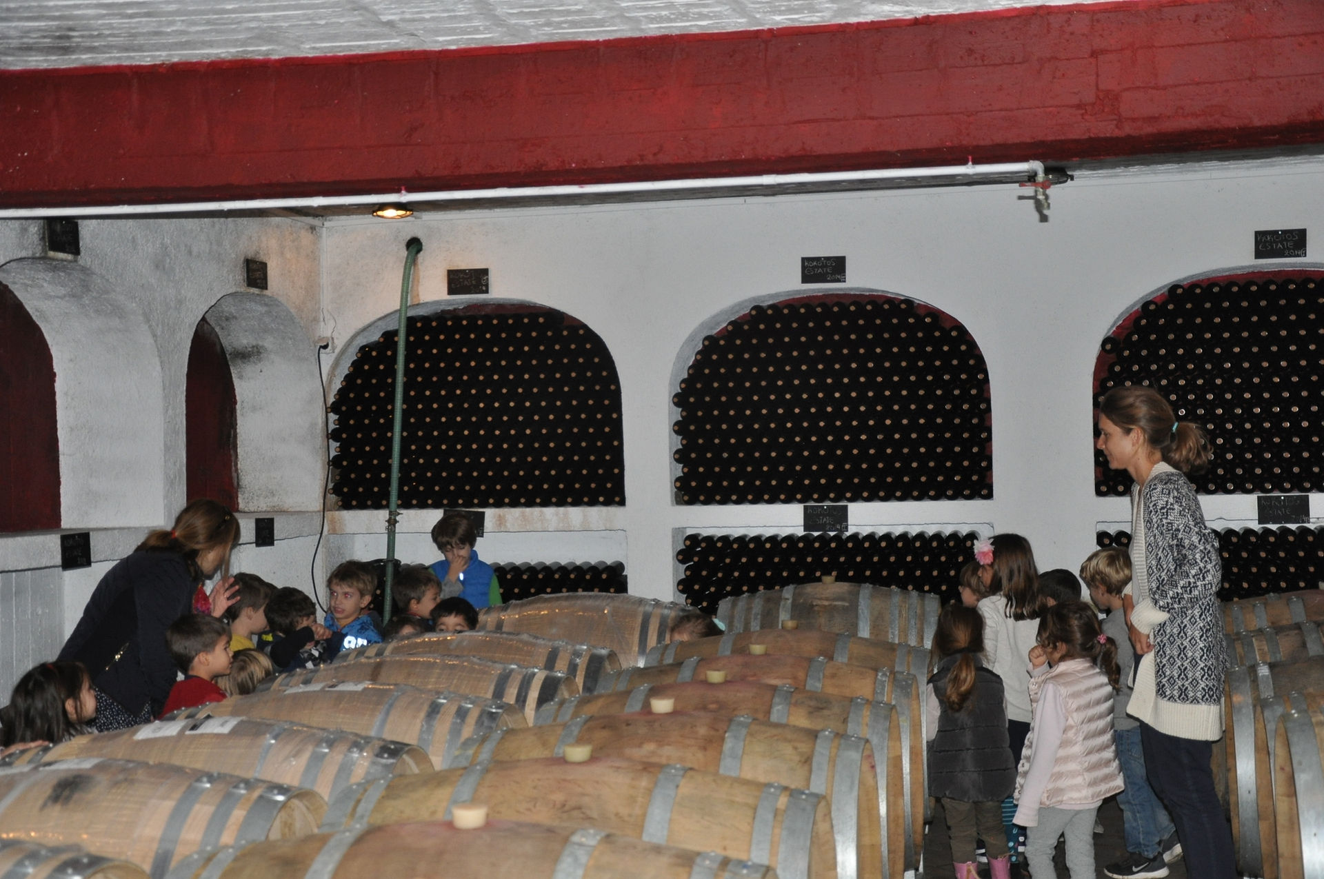 Down in the Cellar