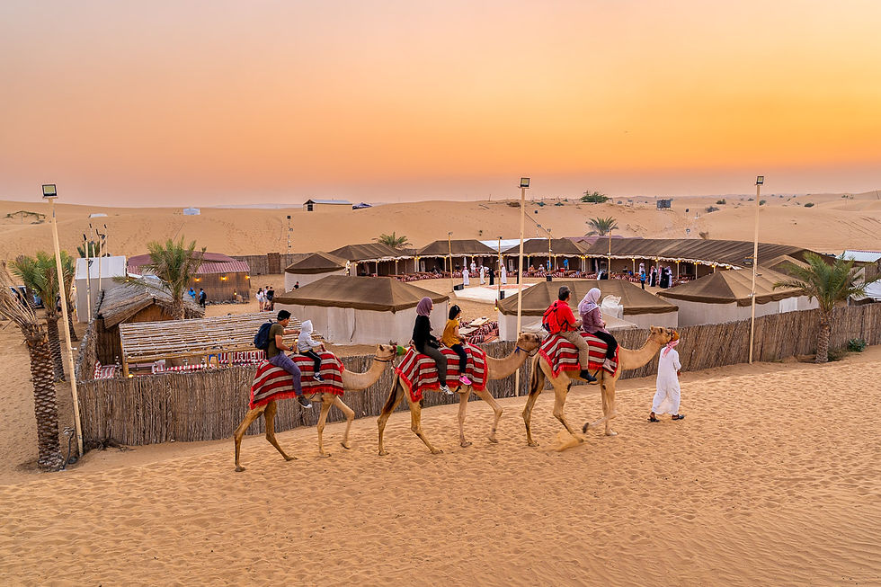 Desert Safari Adventure