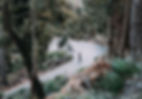 MVC03348.jpg