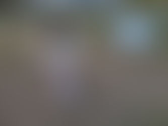 今日のアクティビティ