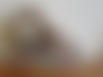 今日のアクティビティ