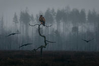 AB1A2838 kopiera.jpg