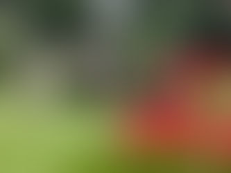 あきがきたよ