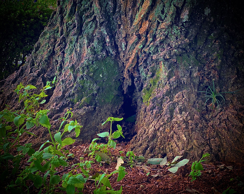 【昼の部11：00〜】「山椒太夫」作 森鴎外