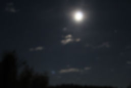 IMG_4503.jpeg