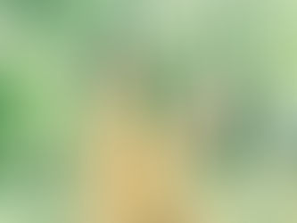 おはなしのせかい