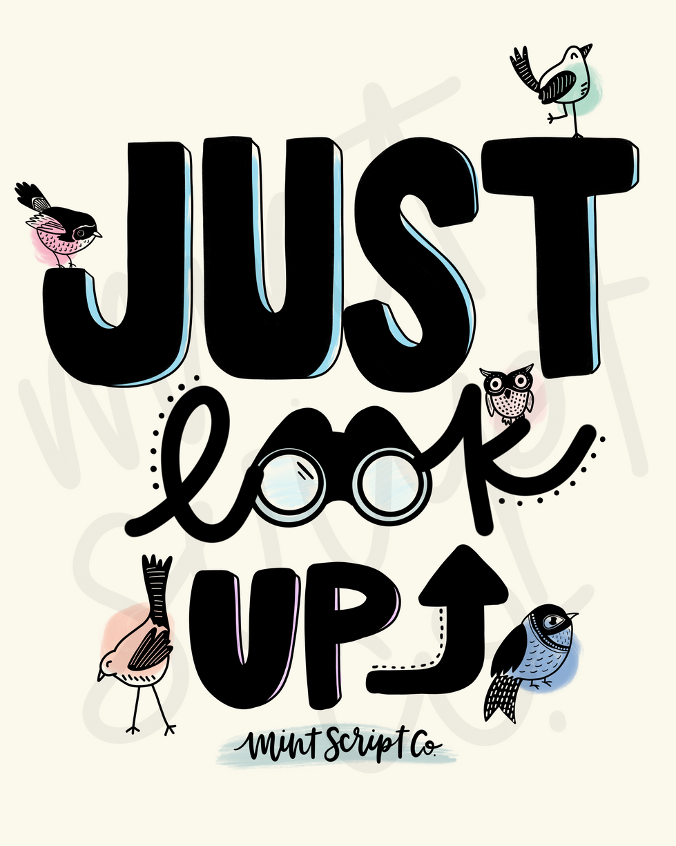 Birding inspired digital art piece with illustrated letters "Just Look Up" and illustrated birds