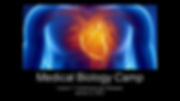 www.cambridgeei.com_MBCLesson1 Cardiovas