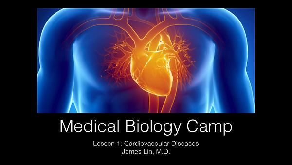 www.cambridgeei.com_MBCLesson1 Cardiovas