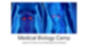 www.cambridgeei.com_MBCLesson6Endocrinea