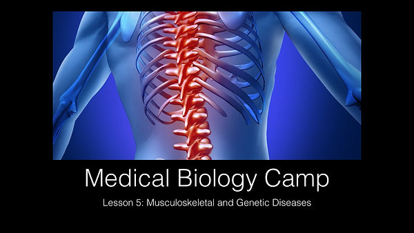 www.cambridgeei.comMBCLesson5Musculoskel