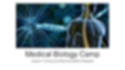 www.cambridgeei.com_MBCLesson4Urinaryand