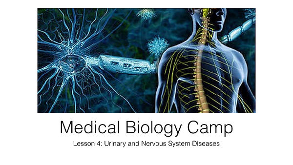 www.cambridgeei.com_MBCLesson4Urinaryand