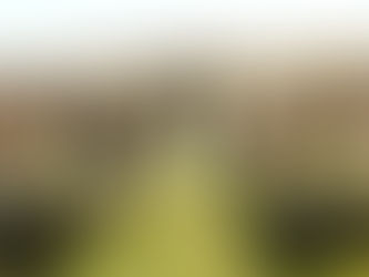 How Much Do Wedding Flowers Cost? A Guide for Every Budget