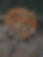 1_edited.jpg