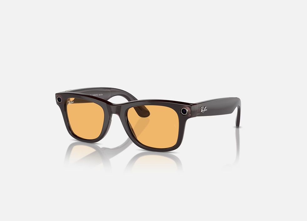 Ray-Ban Meta Wayfarer - RW 4008