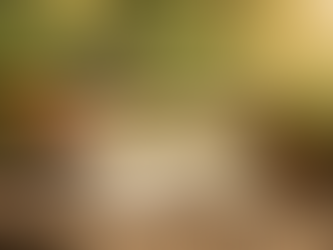 Gardening Companion App Development Update: Building a Smarter Way to Care for Plants