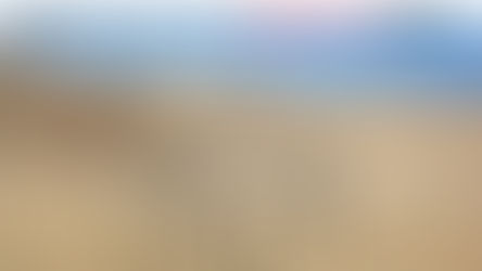 第16回鳥取JAZZ2026開催日程 & 各種募集開始のお知らせ