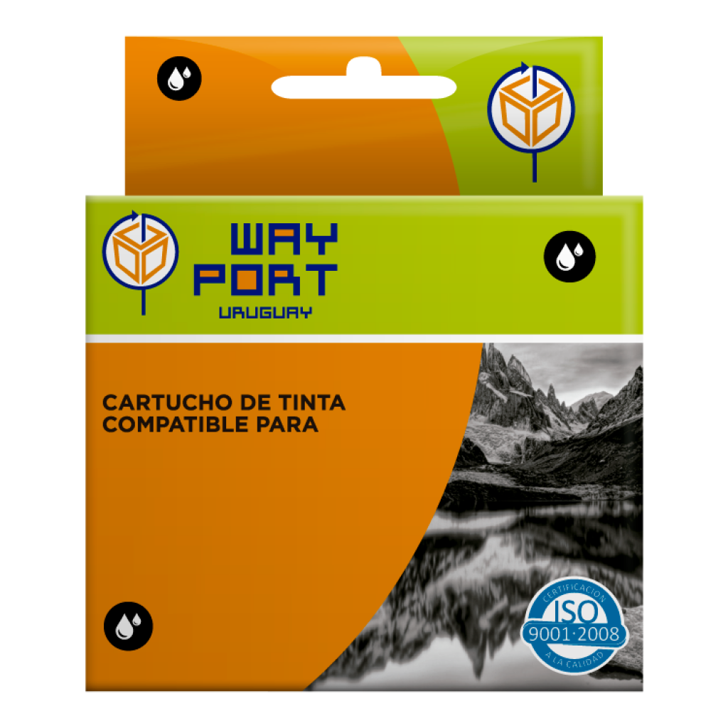 CARTUCHO P/EPSON 206 NEGRO