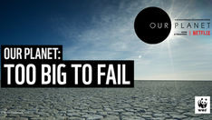 To big to fail.jpeg