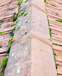 Entreprise de peinture extérieure, peintre en bâtiment extérieur, travaux de peinture extérieure, rénovation façade et toiture, peinture et entretien extérieur, peinture façade maison, rénovation façade peinture, peinture façade hydrofuge, protection façade peinture, peinture façade crépi, peinture façade brique, peinture façade moderne, peinture façade imperméable, peinture façade rénovation, peinture châssis bois, peinture châssis PVC, rénovation châssis peinture, entretien châssis peinture, peinture châssis aluminium, peinture châssis extérieur, réparation toiture, nettoyage toiture, démoussage toiture, entretien toiture, rénovation toiture sans remplacement, réparation fuite toiture, réparation toiture ardoise, réparation toiture plate, réparation toiture inclinée, nettoyage toiture mousse, traitement toiture hydrofuge, peinture corniche bois, peinture corniche PVC, rénovation corniche, entretien corniche, peinture corniche extérieure, peinture corniche aluminium, peinture corniche