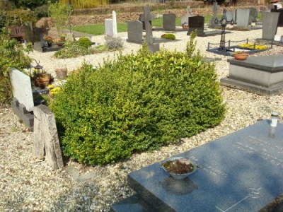 foto1
