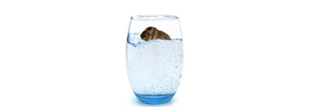 ree
