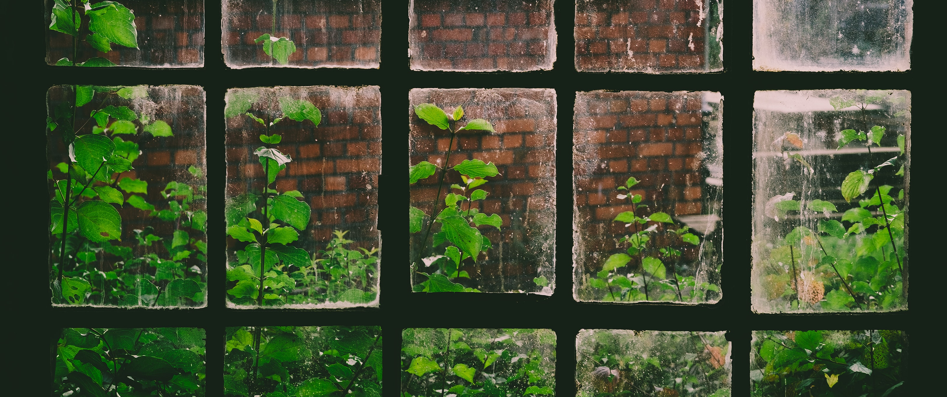 jens-lindner-cQ1BNRYjVJo-unsplash