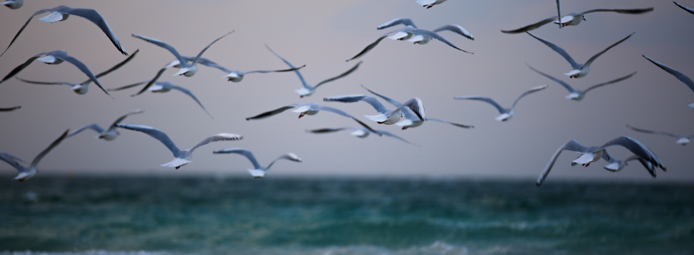 yifei-chen-3sPAN0OGM08-unsplash