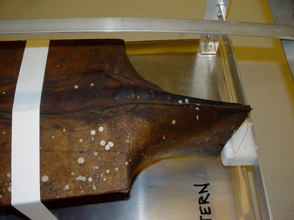 Stern from above