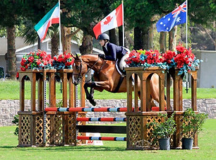 Equitation_Hunter RiverCross Nobility.jp