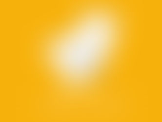 2025 Kingship Update Letter