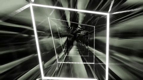 world of perception.gif