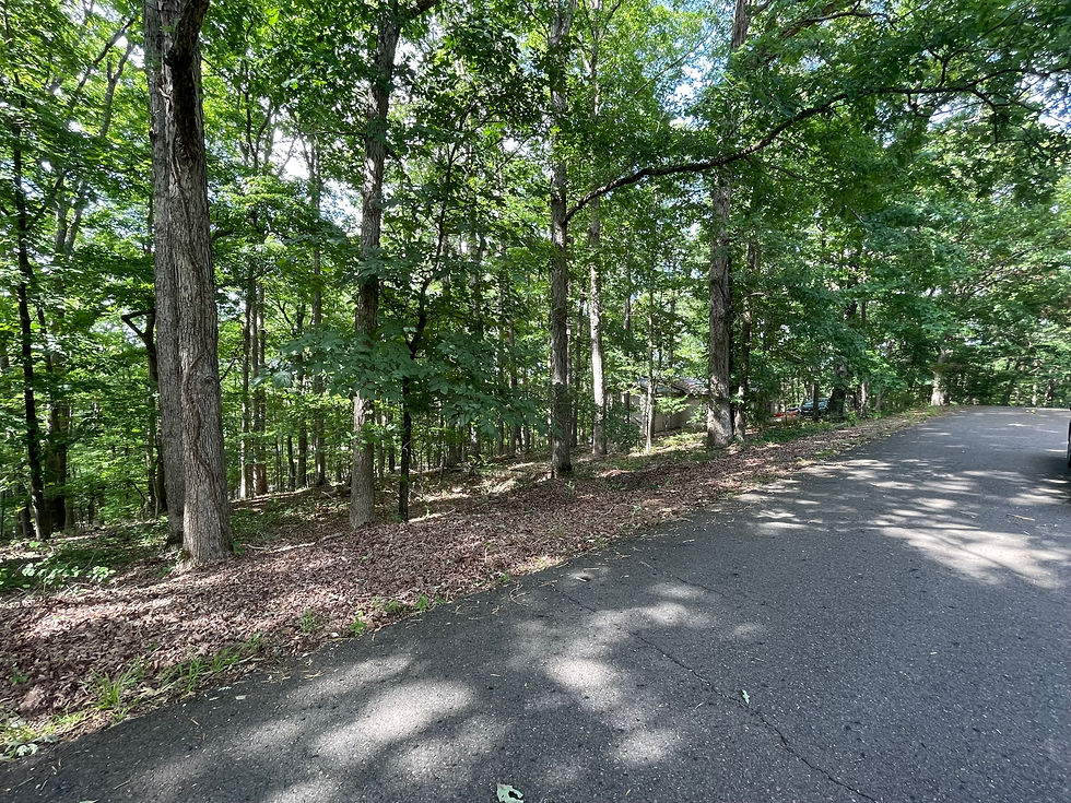 Thumbnail: 72895 Vacant Residential lot for sale