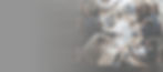 diverse-businesspeople-having-meeting.jpg