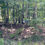 Thumbnail: 66362 Vacant Residential lot for sale