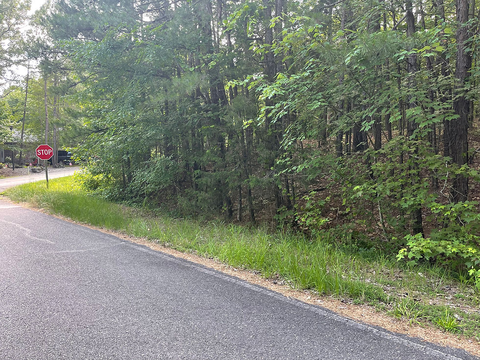 Thumbnail: 60204 Vacant Residential lot for sale