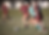 Untitled-1-01.png