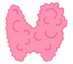 74-5.png
