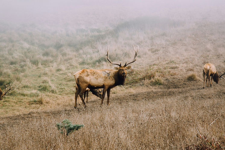 kyle-glenn-XO8BYFcapzY-unsplash.jpg